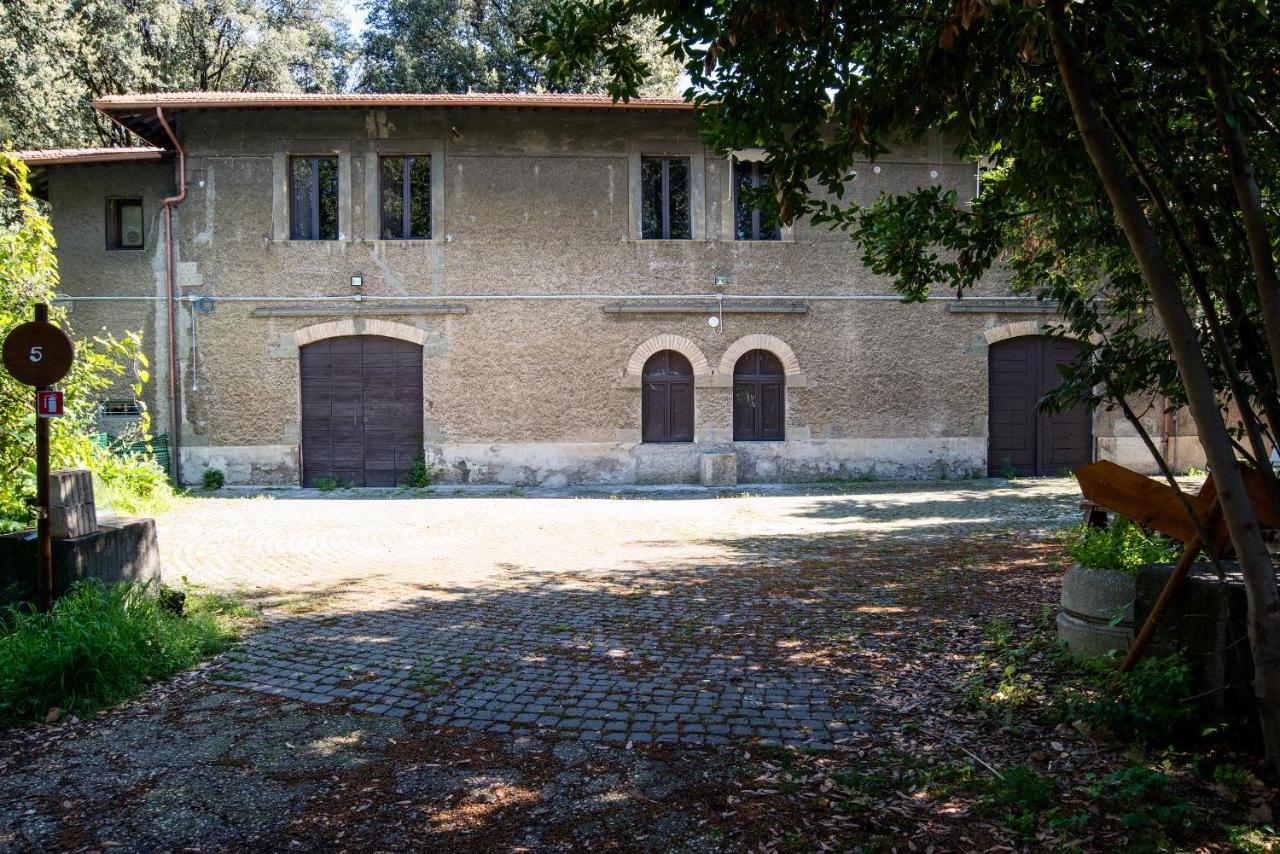 Beyond Colosseum Rom Exteriör bild